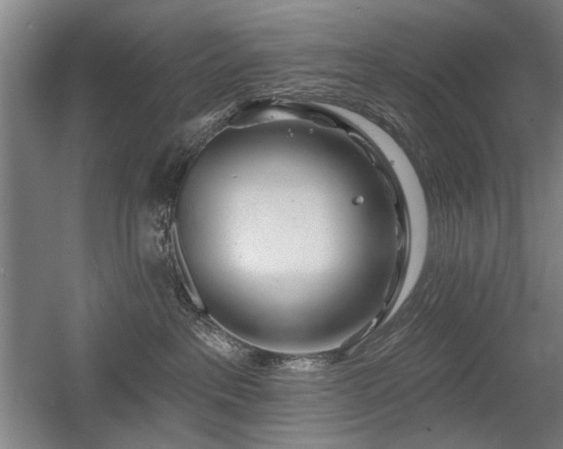 X0000056010237200508191309