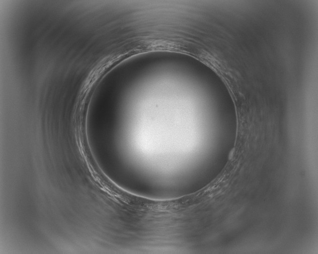 X0000056010241200508191308