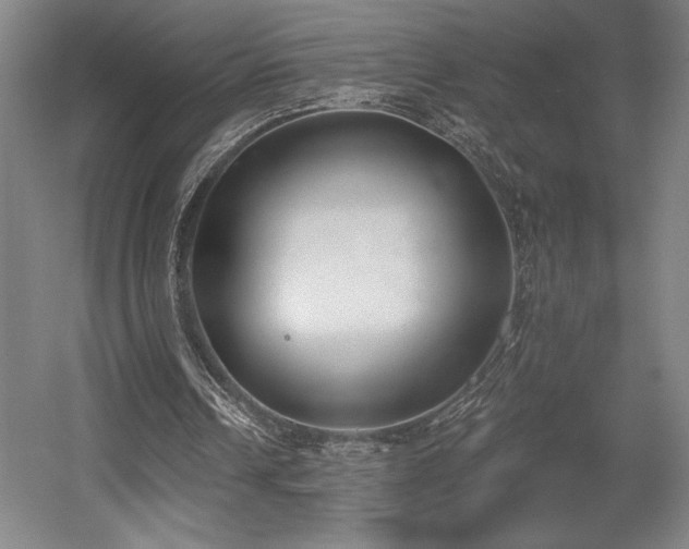 X0000056010242200508191308