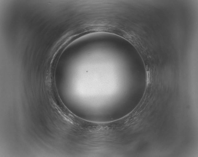 X0000056010243200508191308