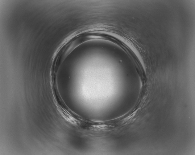 X0000056010244200508191308
