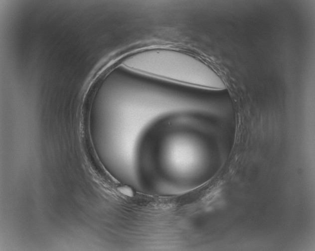 X0000056010247200508191309