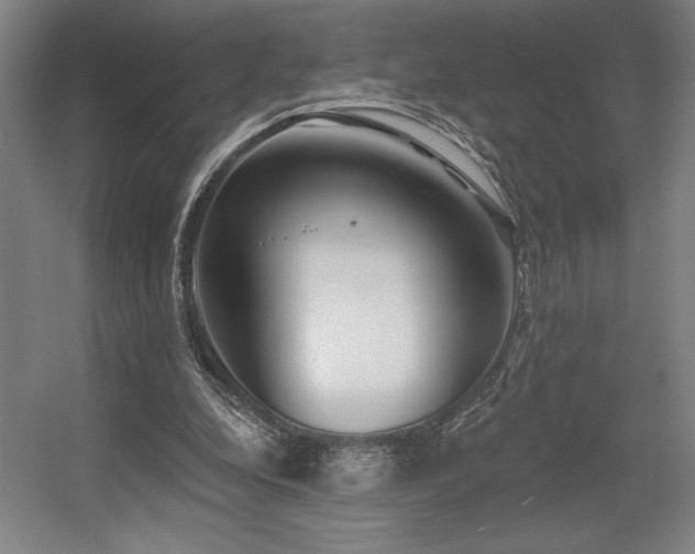 X0000056010248200508191309