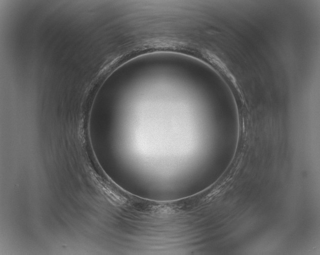 X0000056010249200508191309