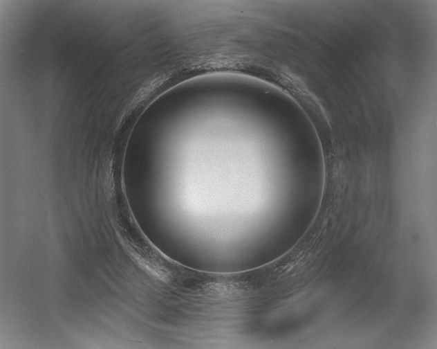 X0000056010250200508191309