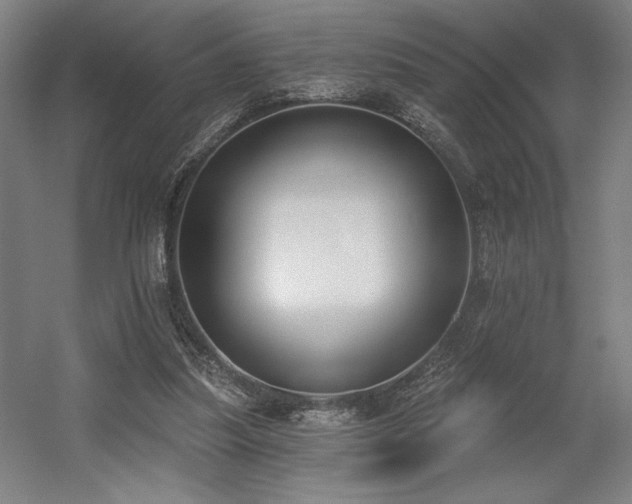 X0000056010251200508191309