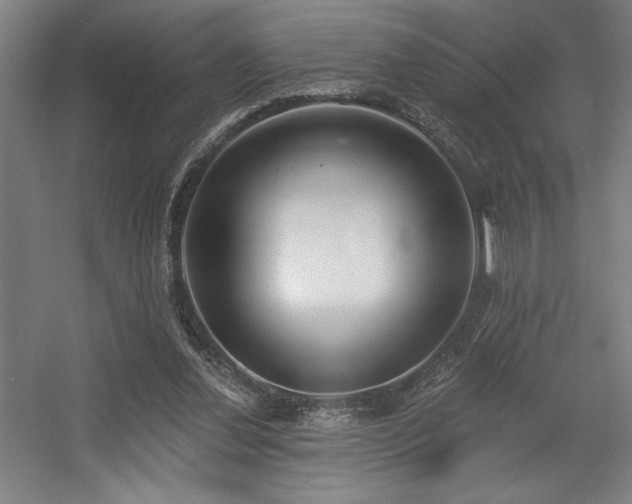 X0000056010252200508191309