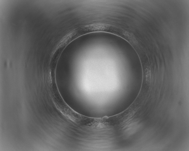 X0000056010254200508191309