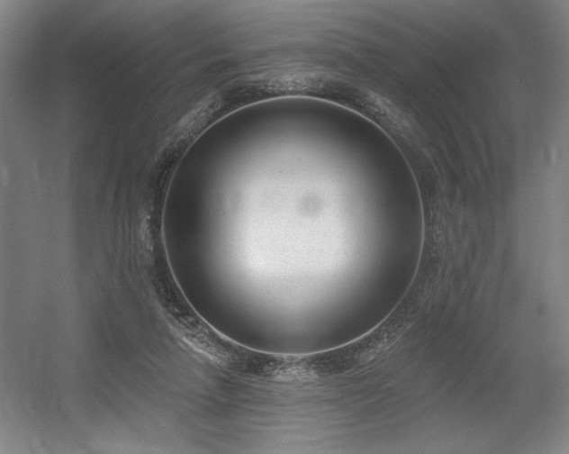 X0000056010258200508191309