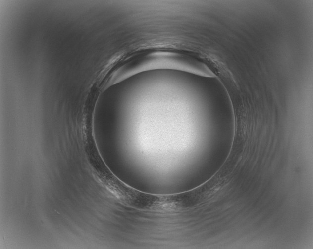 X0000056010260200508191309