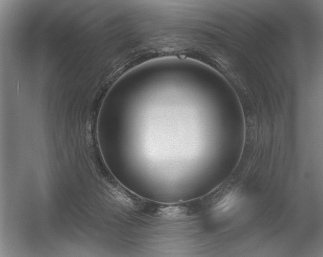 X0000056010269200508191309