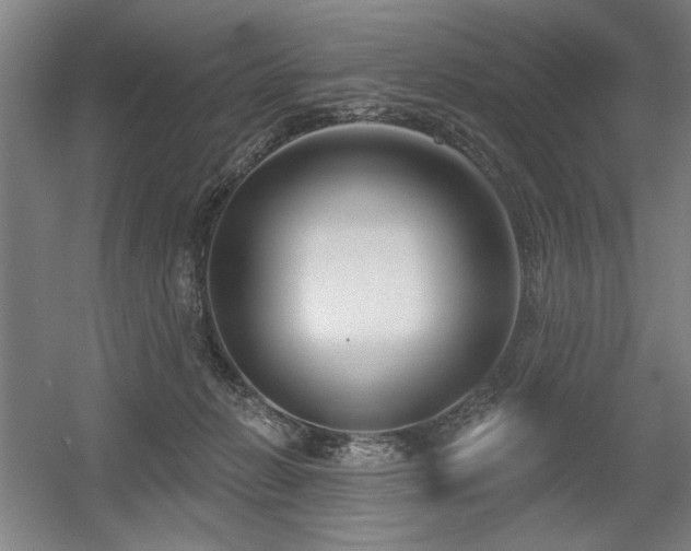 X0000056010270200508191309