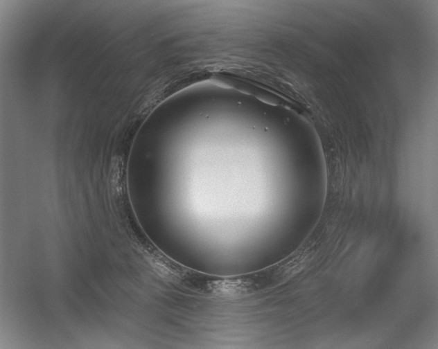 X0000056010273200508191309