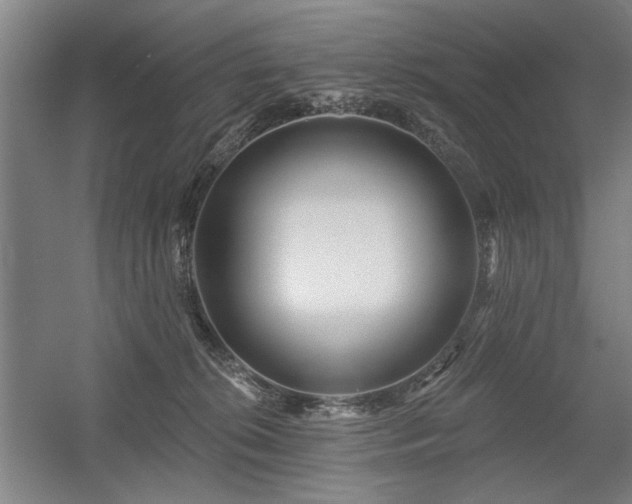 X0000056010276200508191309