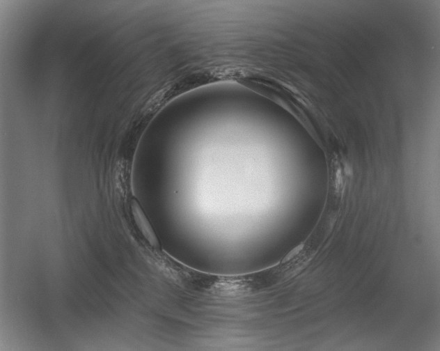 X0000056010280200508191309