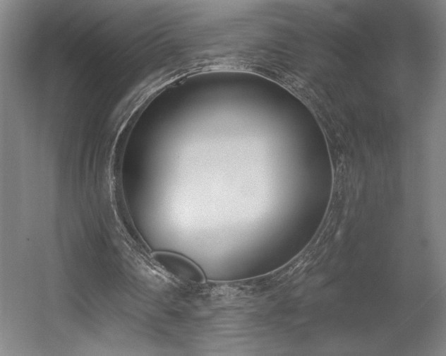 X0000056010290200508191308
