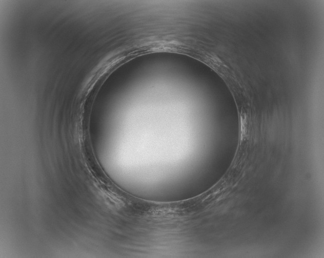 X0000056010291200508191308