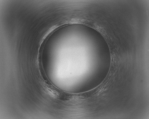 X0000056010292200508191308