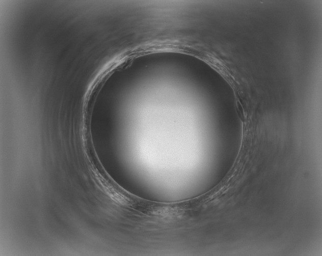 X0000056010293200508191308