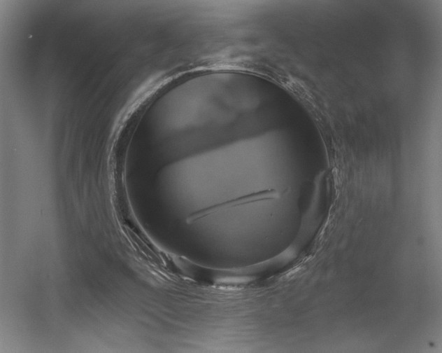 X0000056010295200508191308