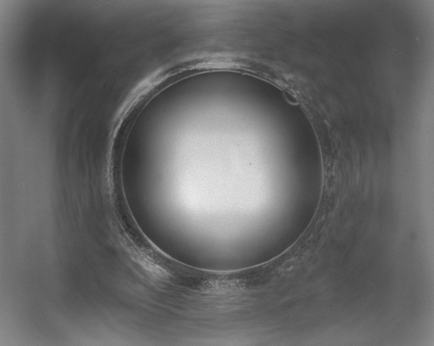X0000056010296200508191308
