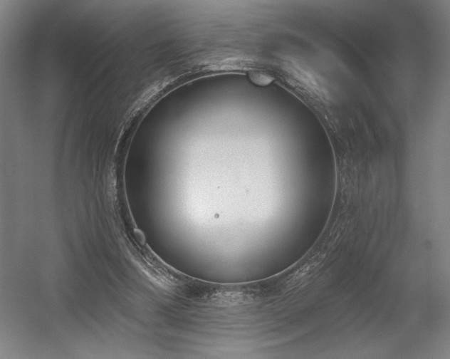 X0000056010298200508191308