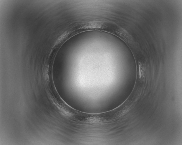 X0000056010300200508191308