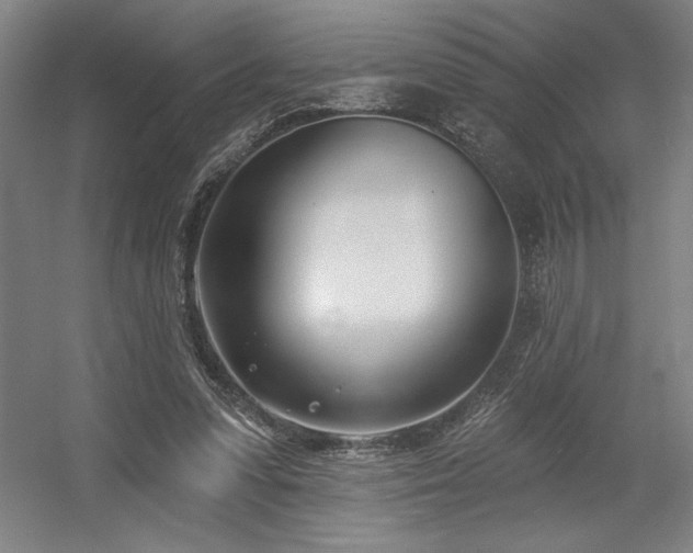X0000056010303200508191308