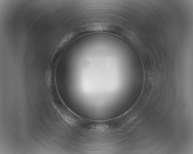 X0000056010304200508191308