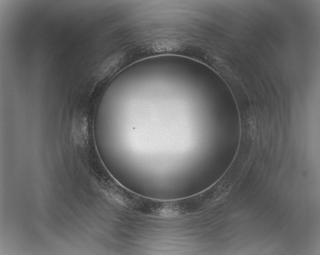 X0000056010308200508191308