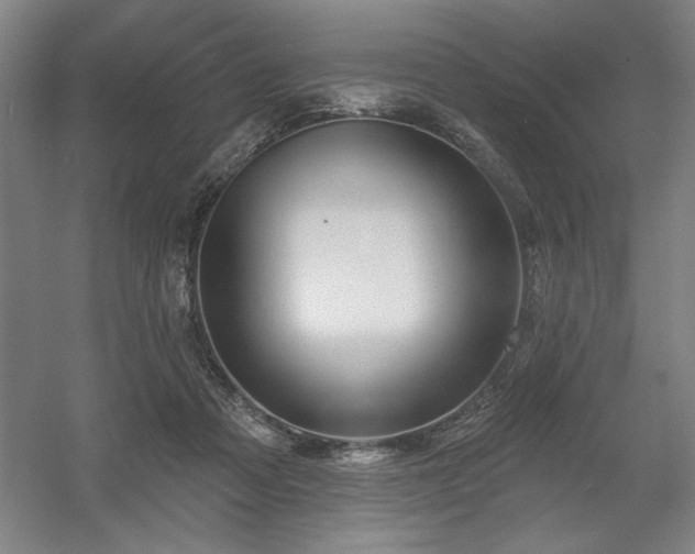 X0000056010313200508191308