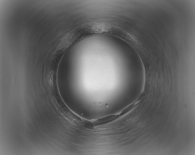 X0000056010315200508191308
