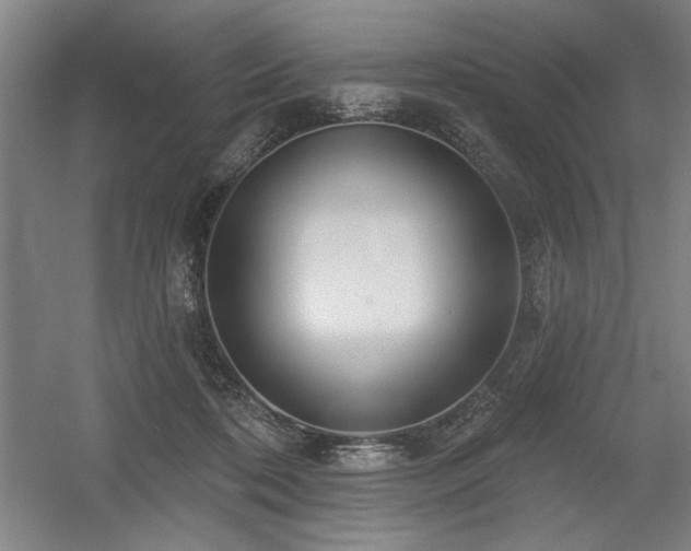 X0000056010316200508191308