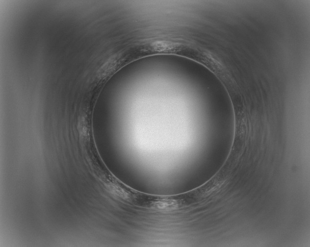 X0000056010317200508191308