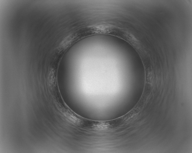 X0000056010318200508191308