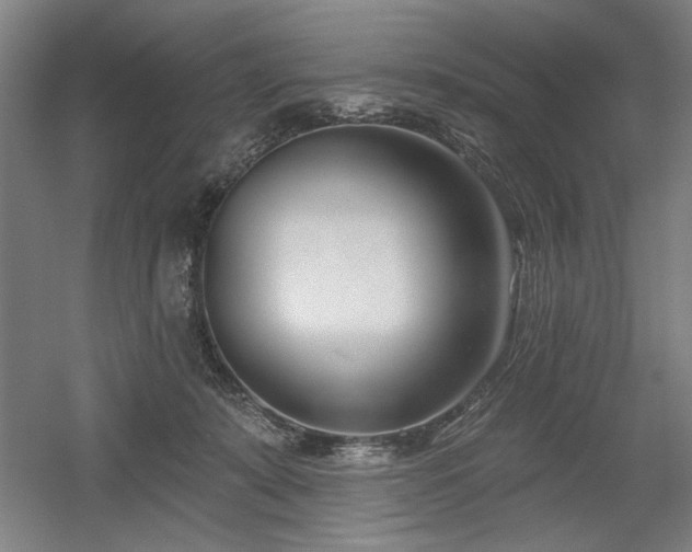 X0000056010319200508191308