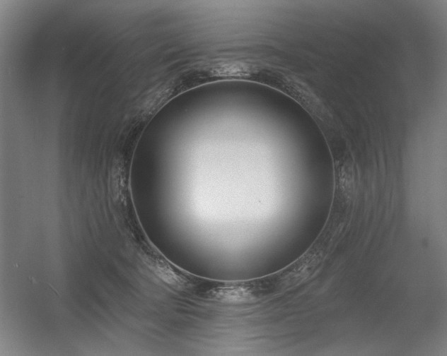 X0000056010322200508191308