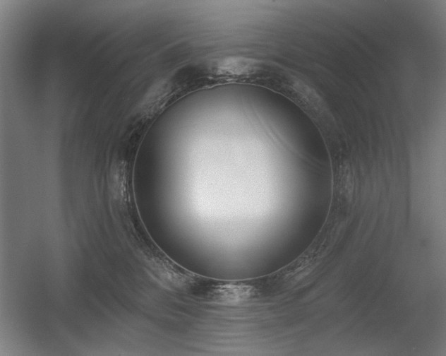 X0000056010328200508191308