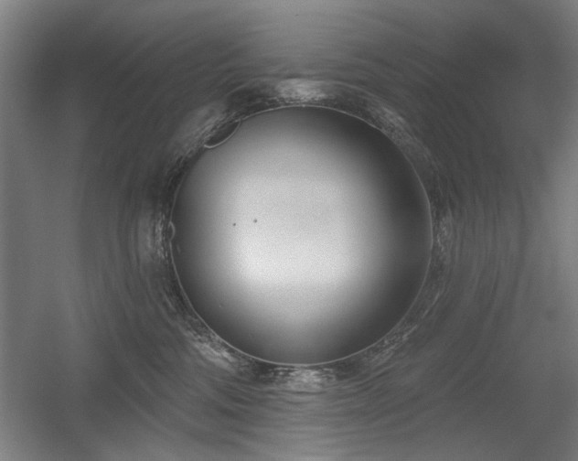 X0000056010330200508191308
