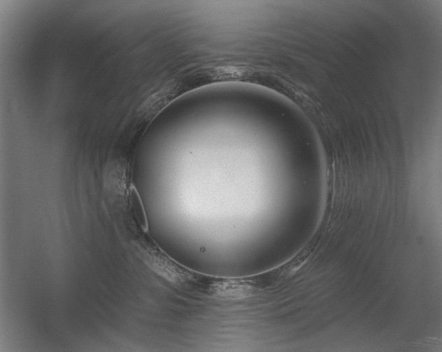 X0000056010331200508191308