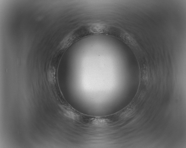 X0000056010332200508191308