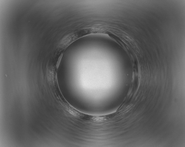 X0000056010333200508191308