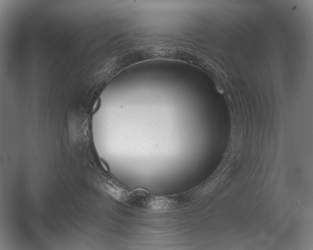 X0000056010336200508191308