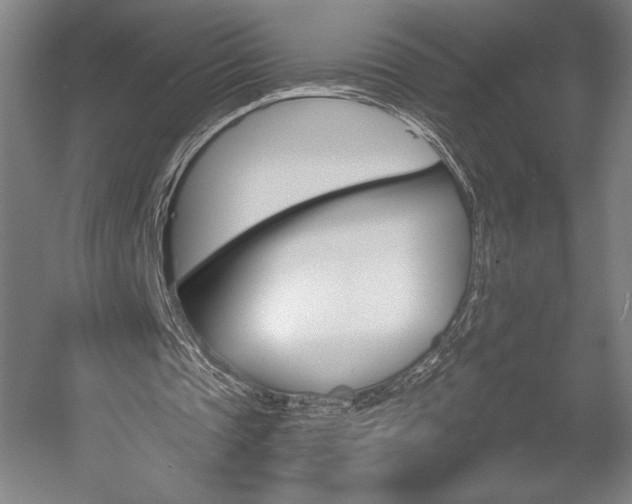 X0000056010337200508191307
