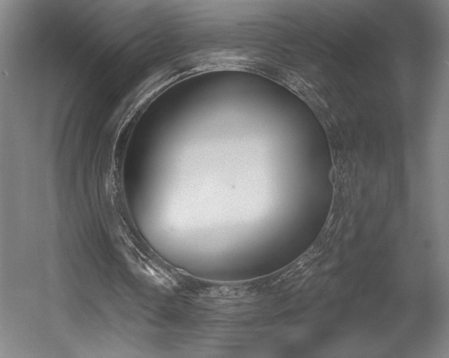 X0000056010338200508191307