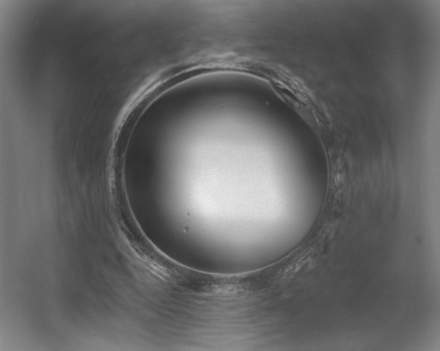 X0000056010344200508191307
