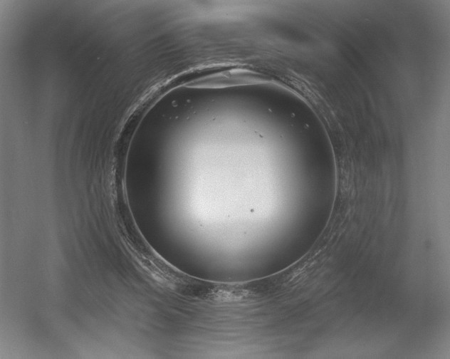 X0000056010346200508191307