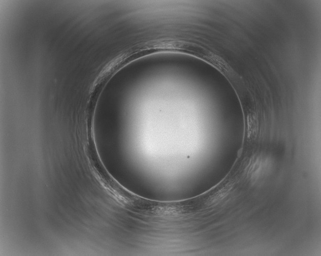 X0000056010349200508191307