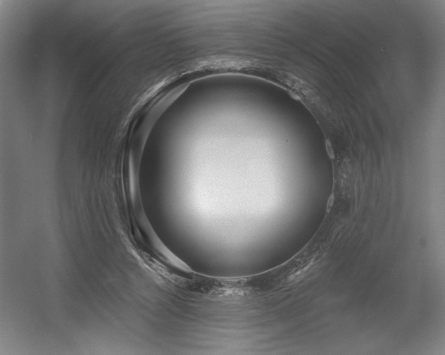 X0000056010352200508191307