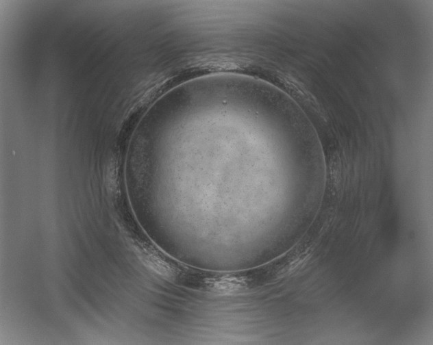 X0000056010359200508191307